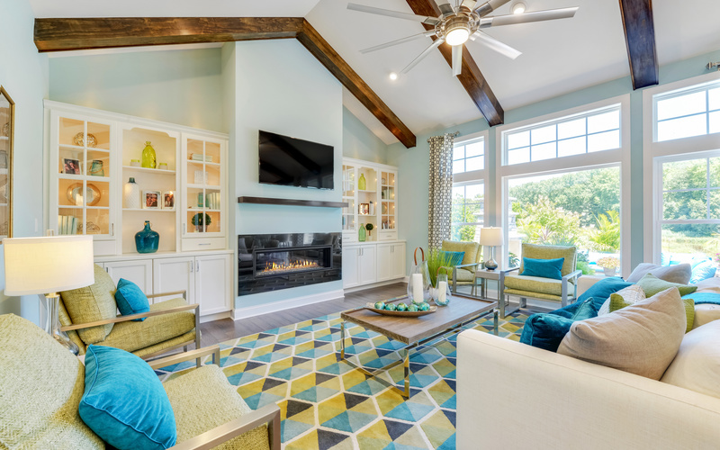 The Whimbrel at Saddle Ridge